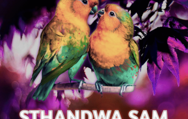 2point1 - Sthandwa Sami