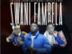 TallexQ, Benny Mayengani & Nvcely Sings - Swani Fambela